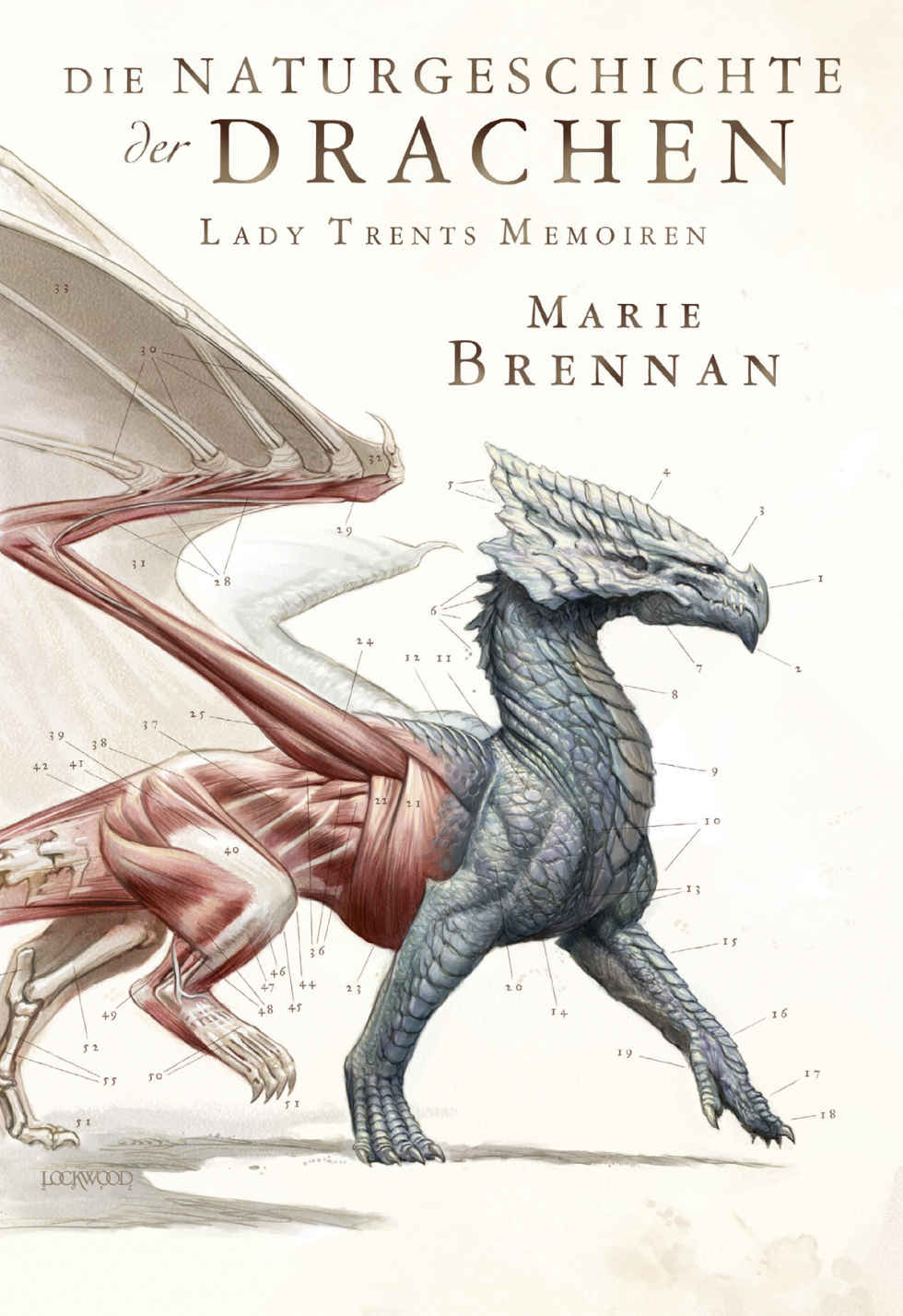 Bildungsroman im Fantasy-Gewand – Buch-Kritik: "Die Naturgeschichte der Drachen" 