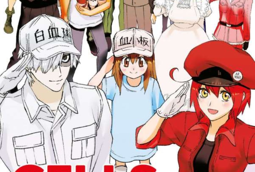 MANGA-REVIEW: CELLS AT WORK, BD. 6 (ABSCHLUSSBAND)