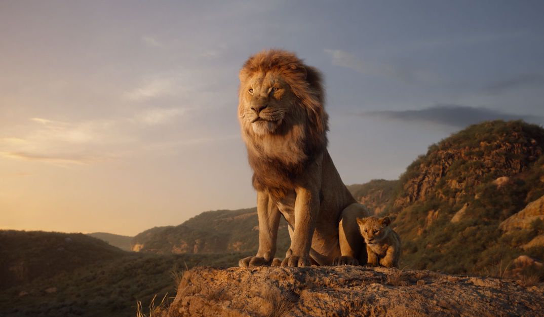 FK Lion King 1