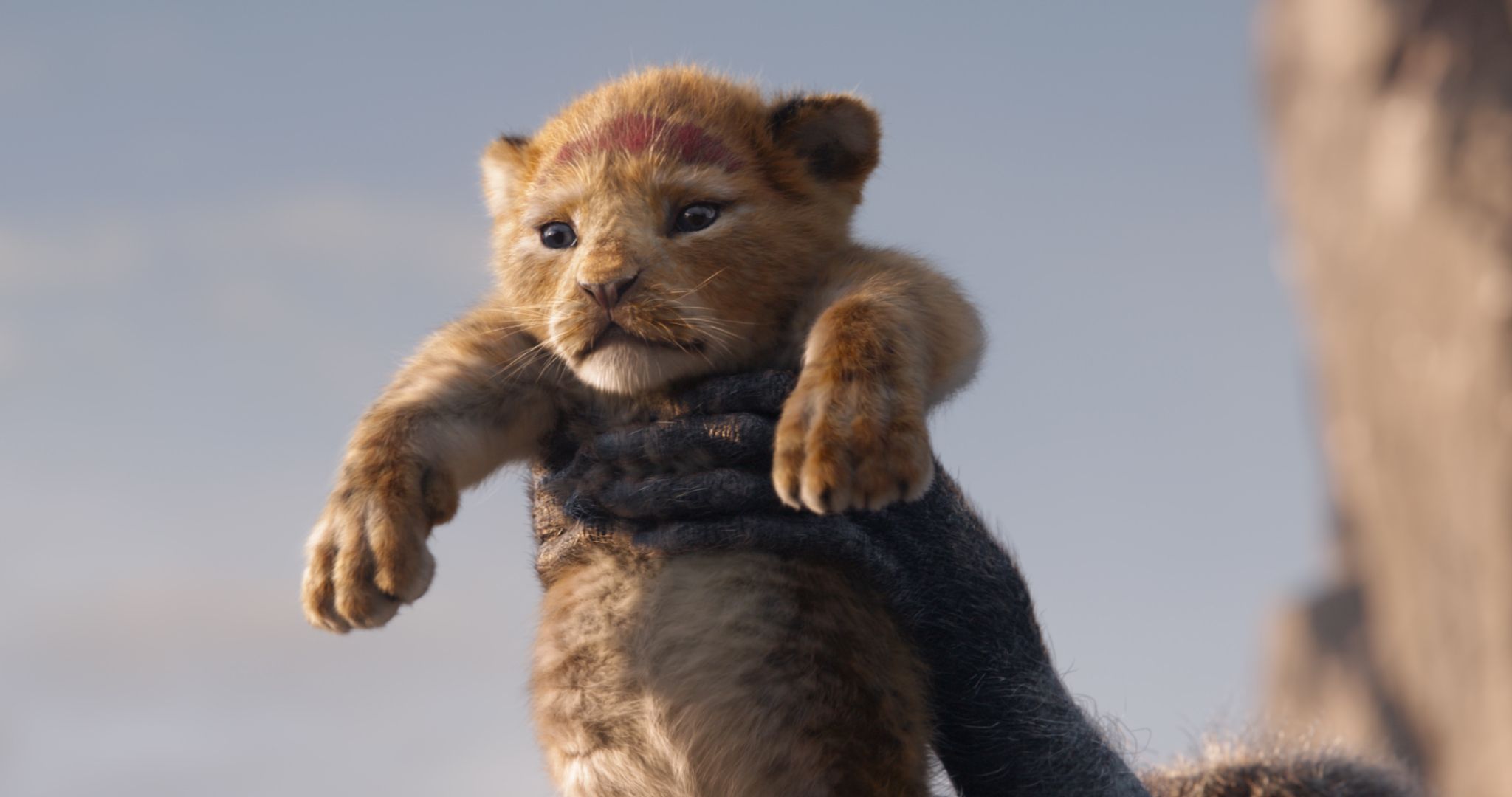 FK Lion King 3