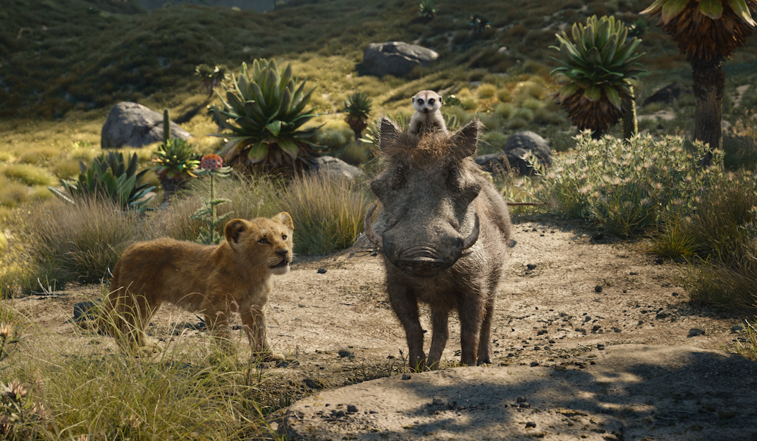 FK Lion King 4
