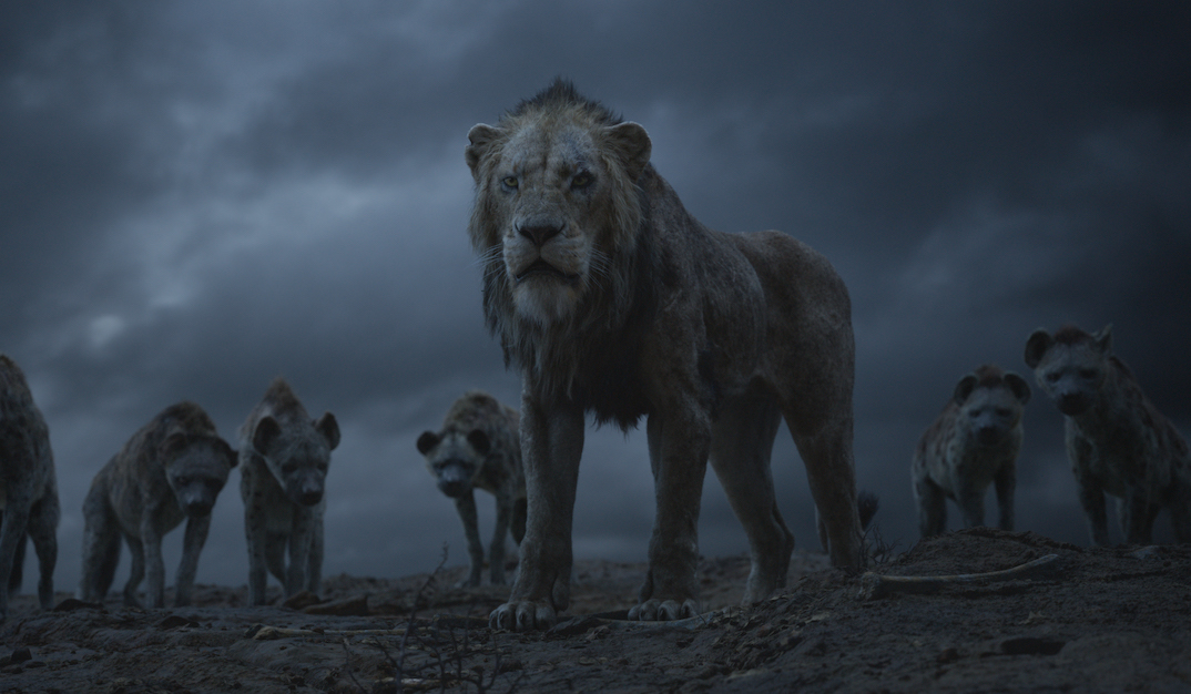 FK Lion King 6